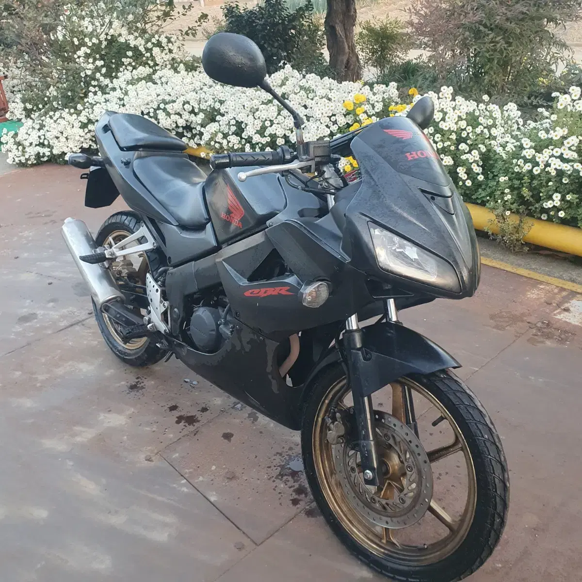 2010)cbr125(코멧125 gsxr125 야마하r3 닌자300