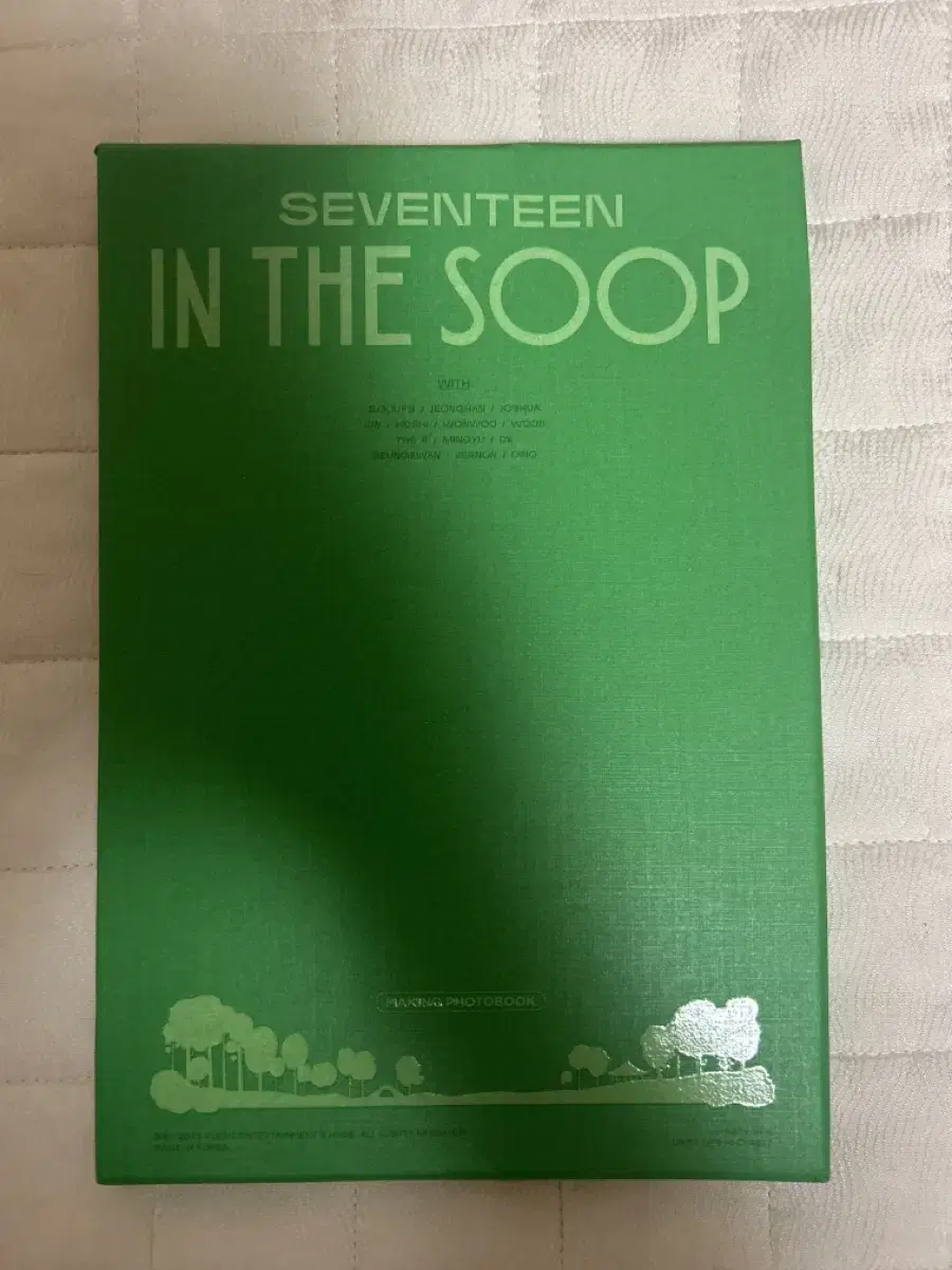 Seventeen in the Woods 1 Making Book wts Sells