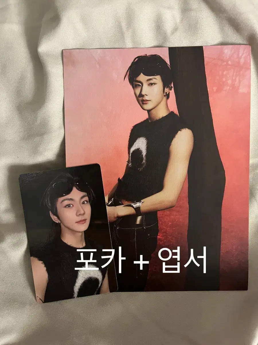 Enhypen Romance Untold XO jungwon photocard