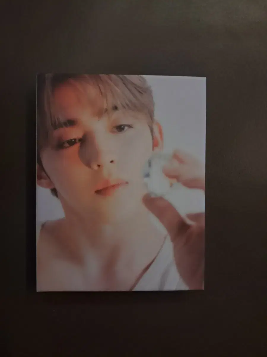 17 is right here s.coups photocard Chapter 24