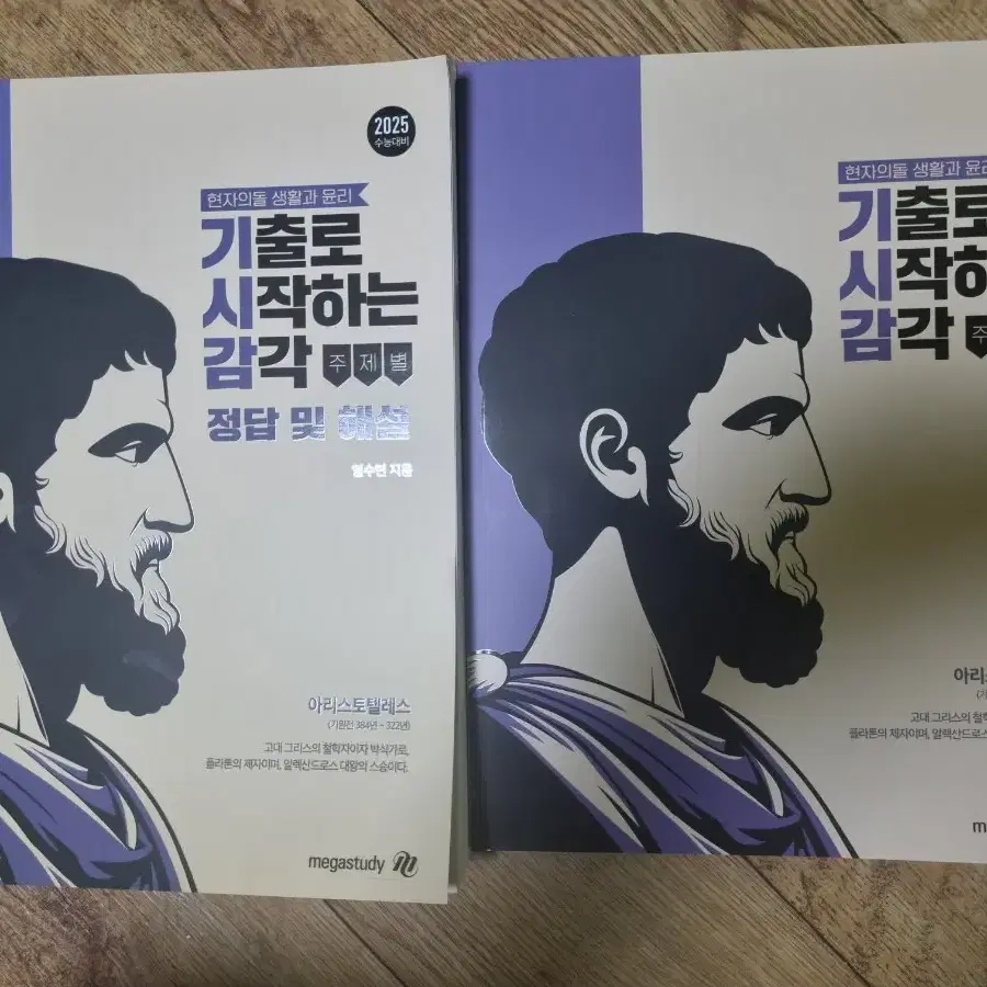 현돌 현자의 돌 생활과 윤리 기시감 양도 판매