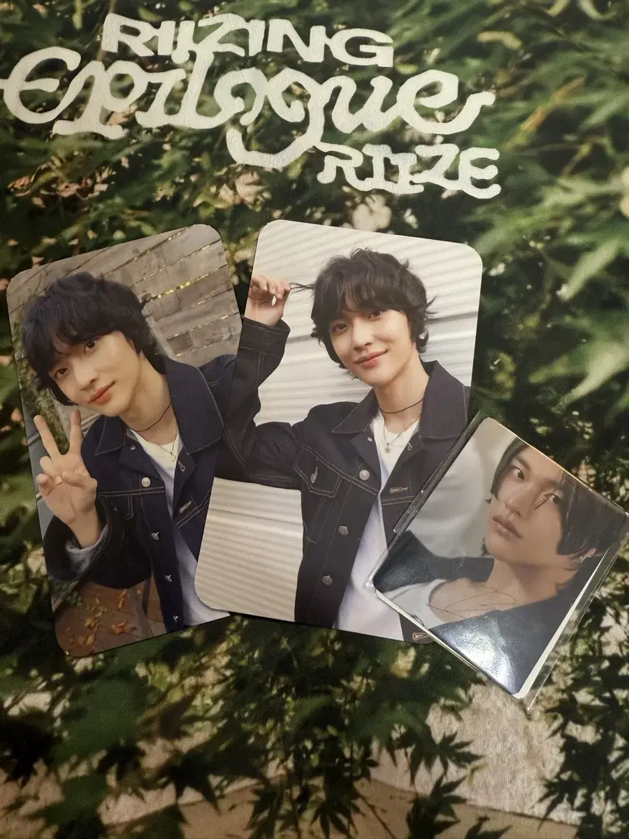 Rize wonbin vera photocards in bulk