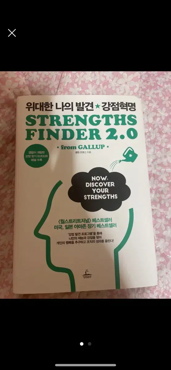 위대한 나의 발견 강점혁명