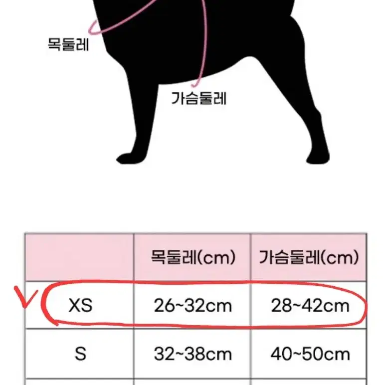 메쉬 X하네스