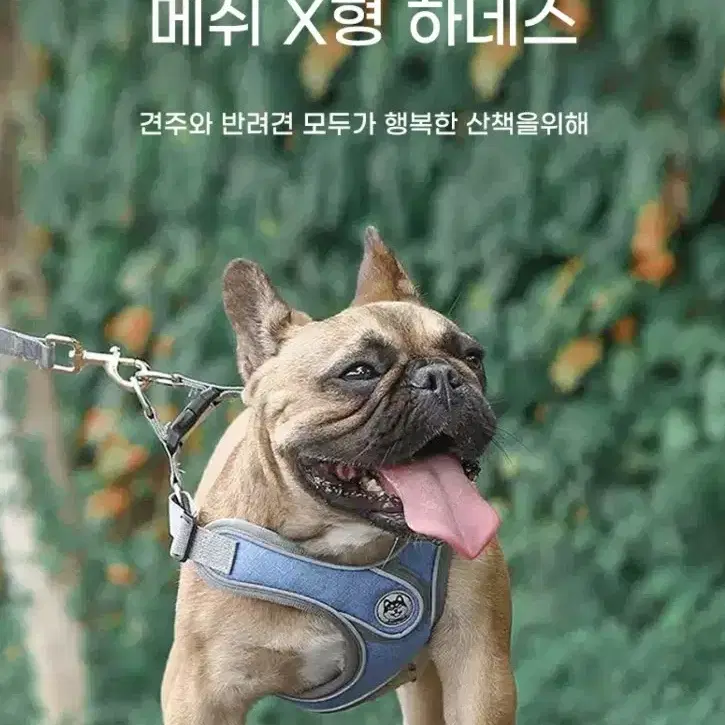 메쉬 X하네스