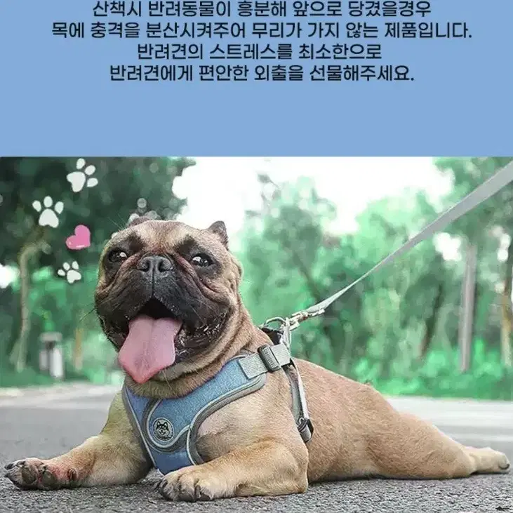 메쉬 X하네스