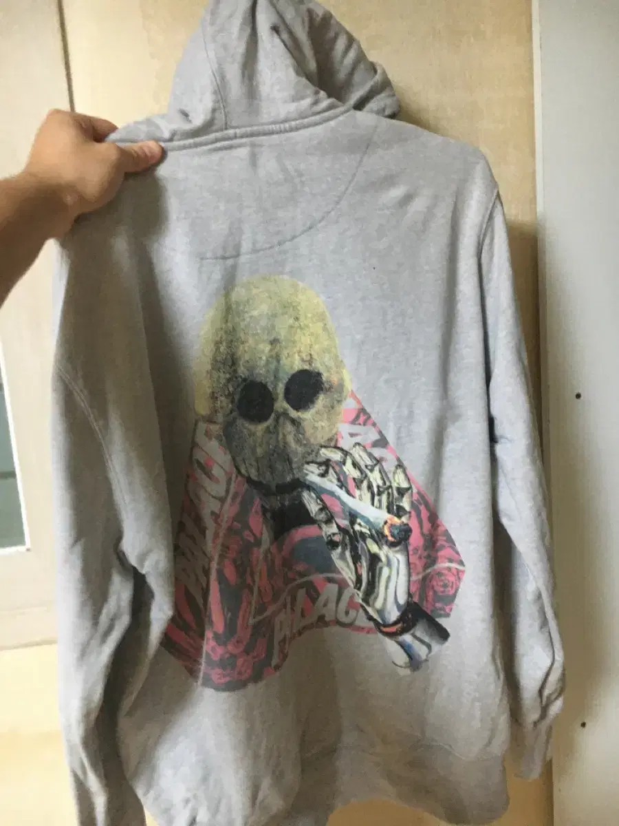 Pallas Skeleton Hoodie