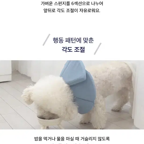 파랩. 닥터설 각도조절 애견 고양이 넥카라 일괄판매