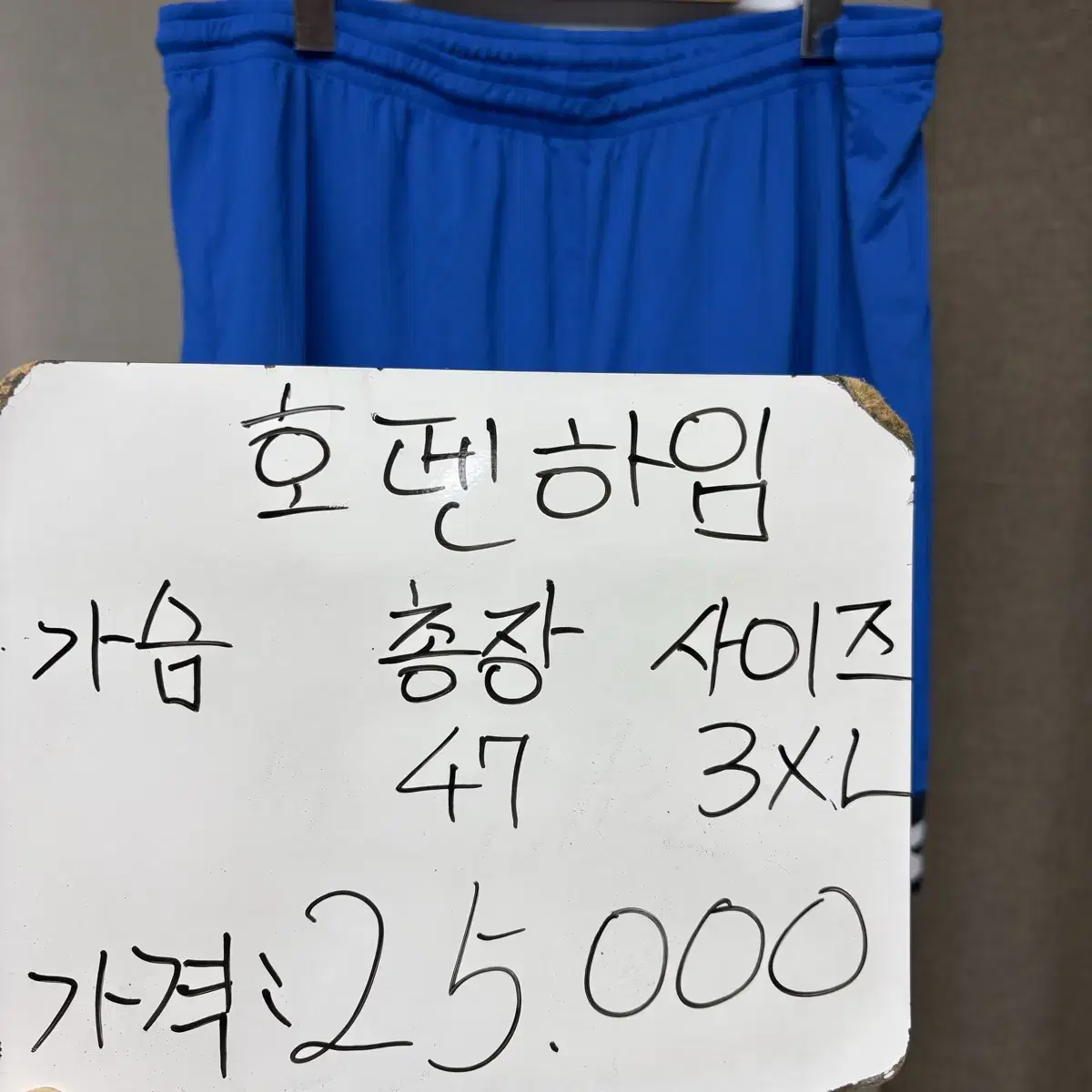 호펜하임 유니폼 반바지 3XL