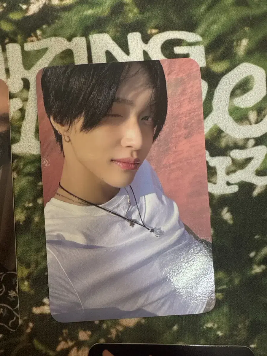 Rize wonbin with muu Photocard