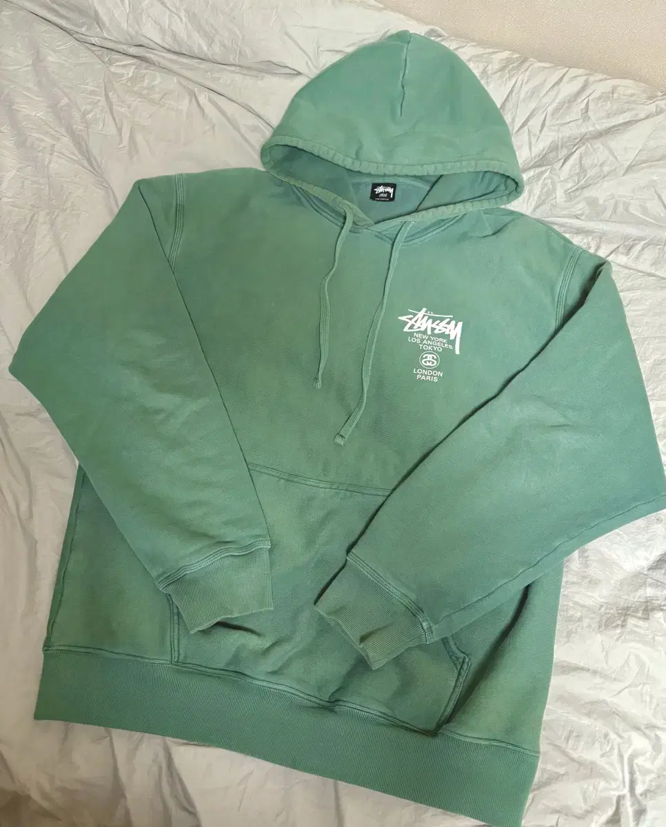 Stussy worldtour Pigmented Green Hoodie