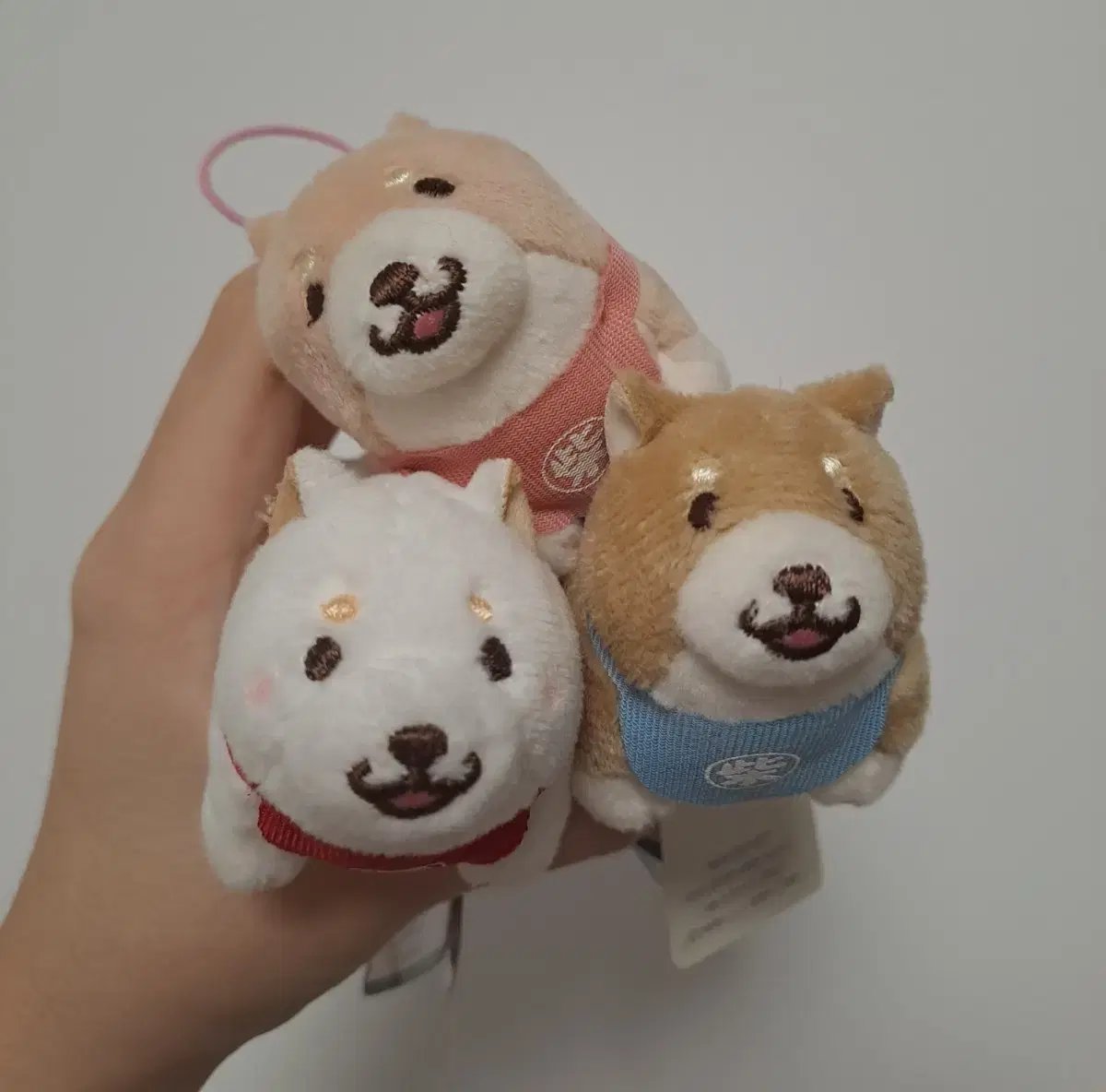 Shiba Inu doll keyring