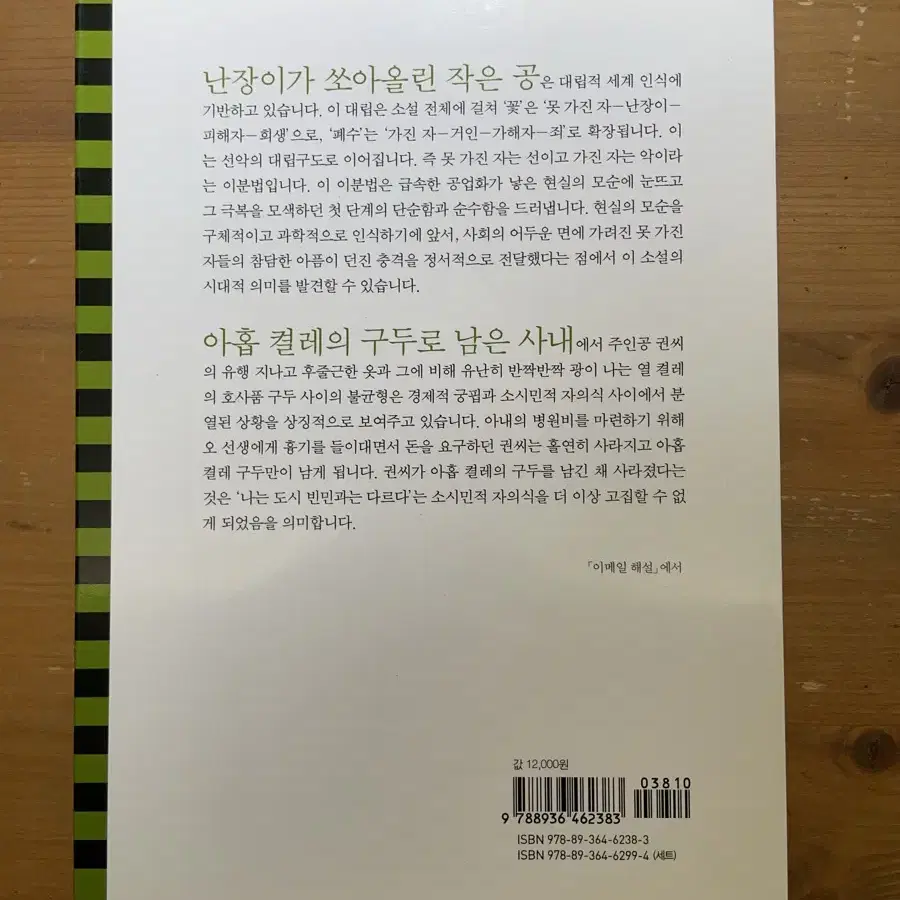 20세기 한국소설 : 조세희, 윤흥길