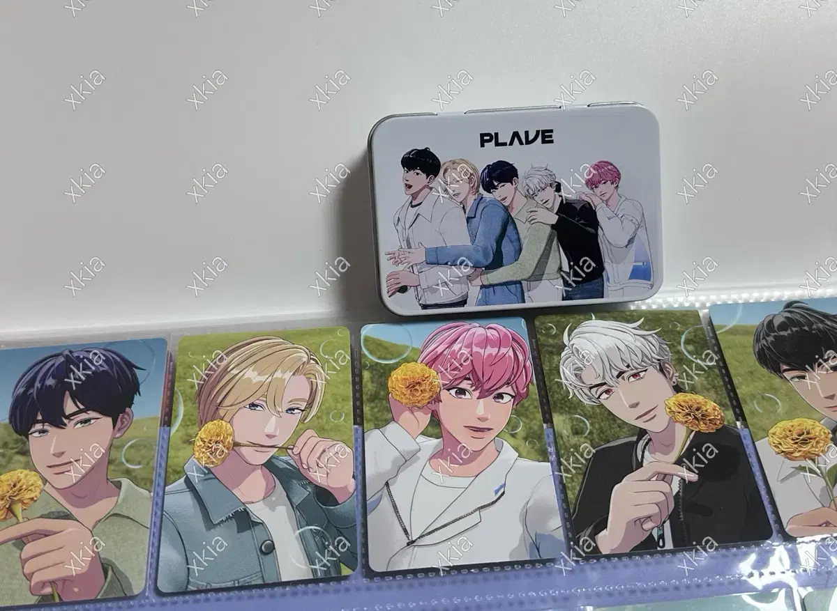 Plave Med Hill 2nd Photo Card and Tin Case