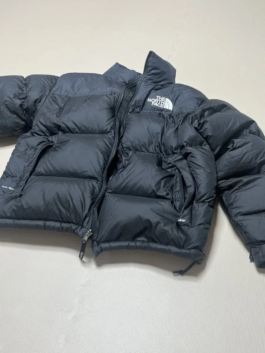 The North Face Echo Nopsi XL 105