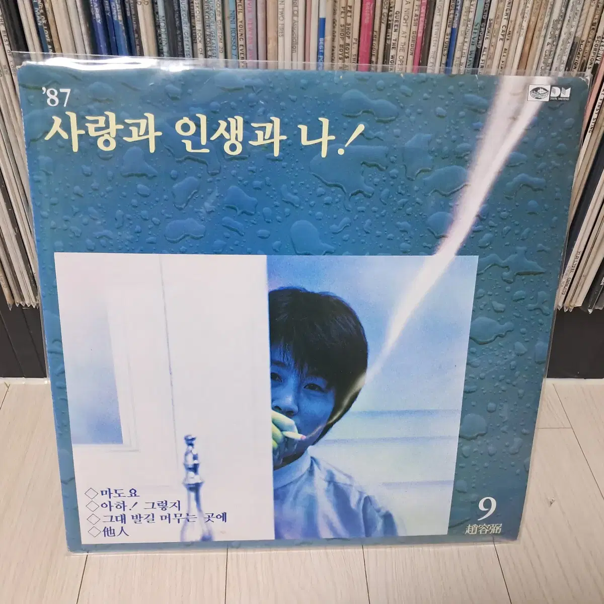 LP..조용필9집(1987년)마도요