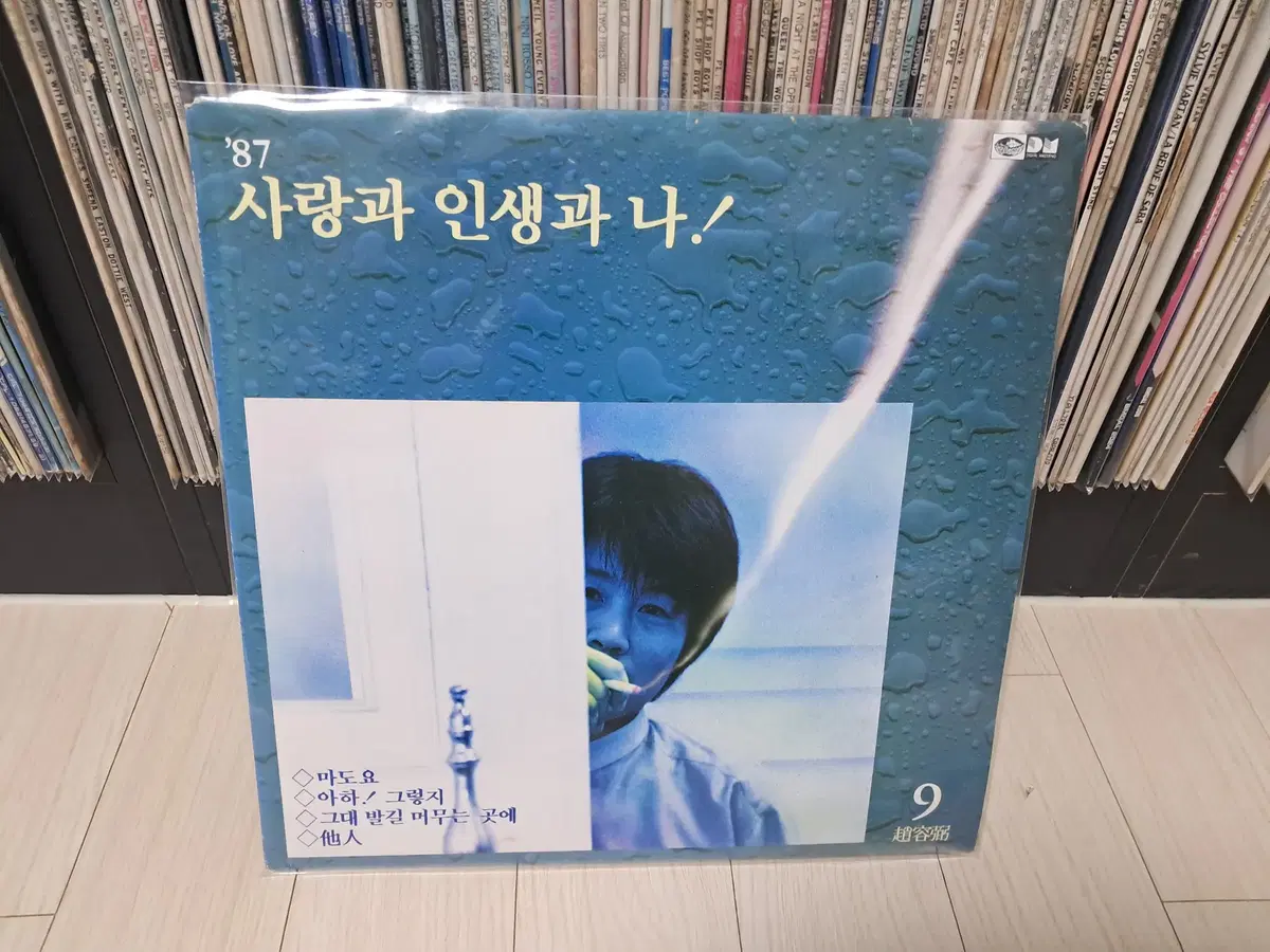 LP..조용필9집(1987년)마도요