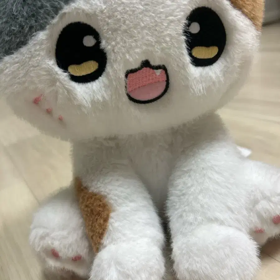 고양이 인형