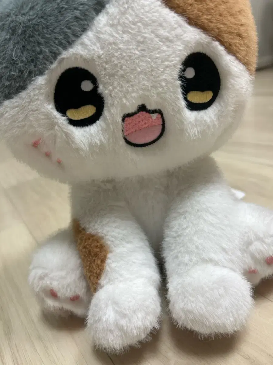 고양이 인형