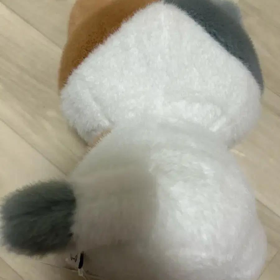 고양이 인형