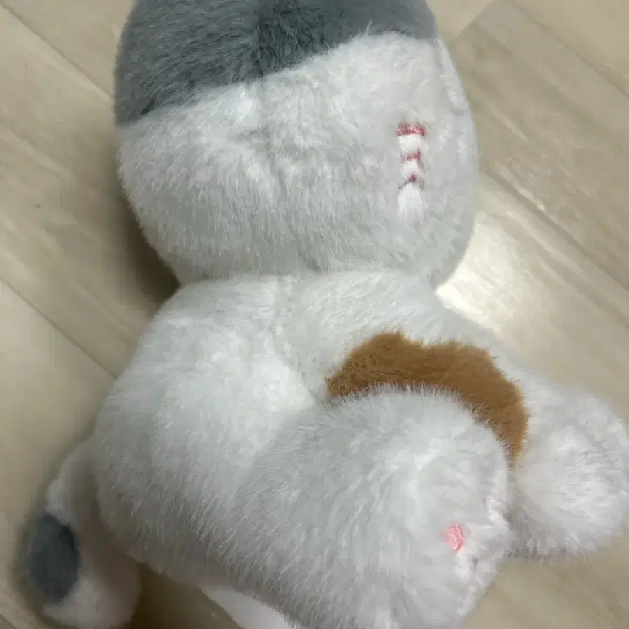 고양이 인형