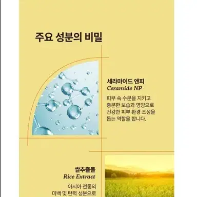 택포2천 뒷꿈치 극강 보습 리페어 풋크림 70ML