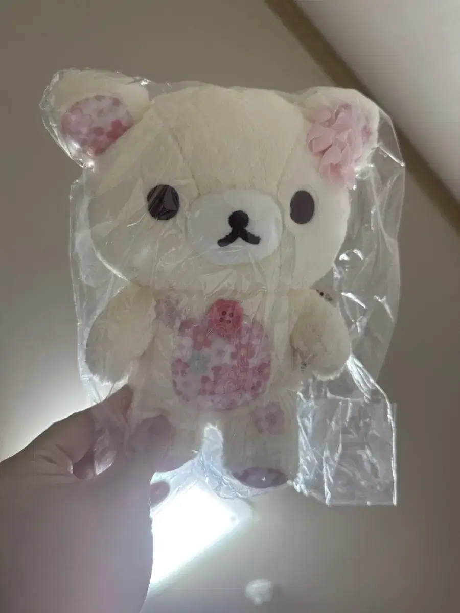 24 Years Cherry Blossom Kori Rakkuma Doll