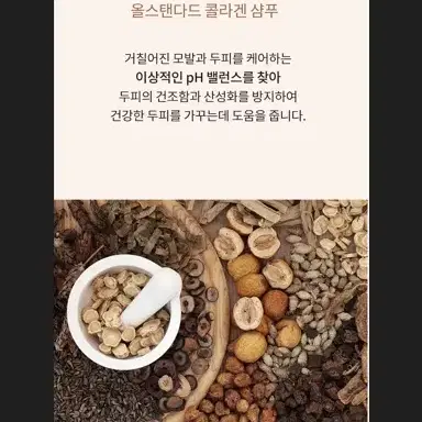 택포4천 실리콘 프리 퍼퓸 샴푸 500ml 화이트머스크/파우더