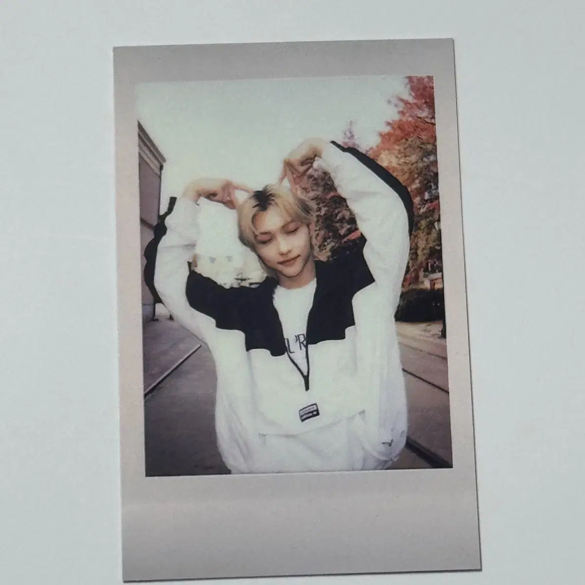 straykids felix pola photocard felix skz skz preview