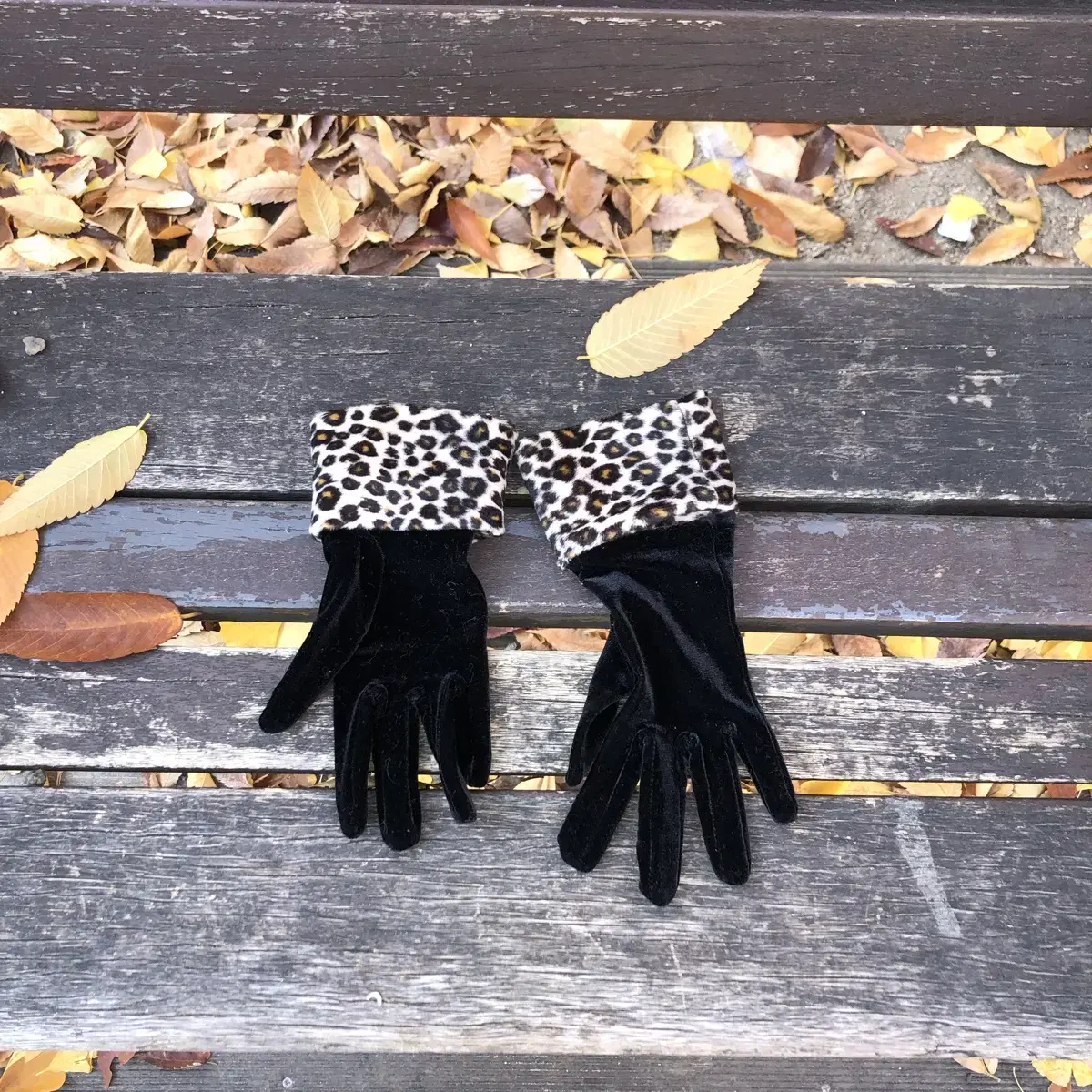 Vintage Black leopard velvet gloves