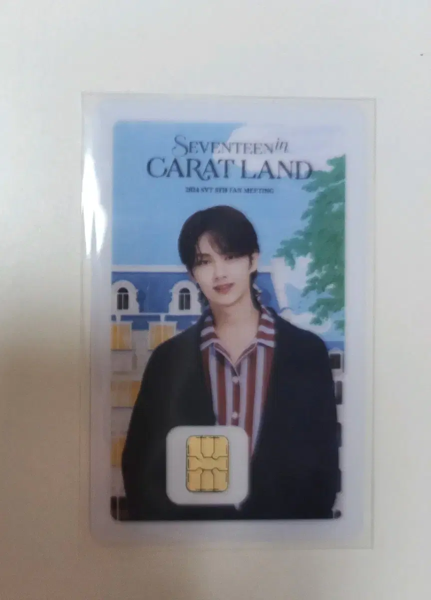 Seventeen jun Caratland Namanekard