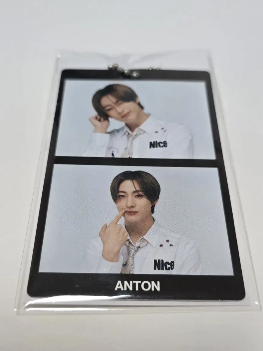 Rize Halltour Random Toy chanyoung Photo Keyring Charms