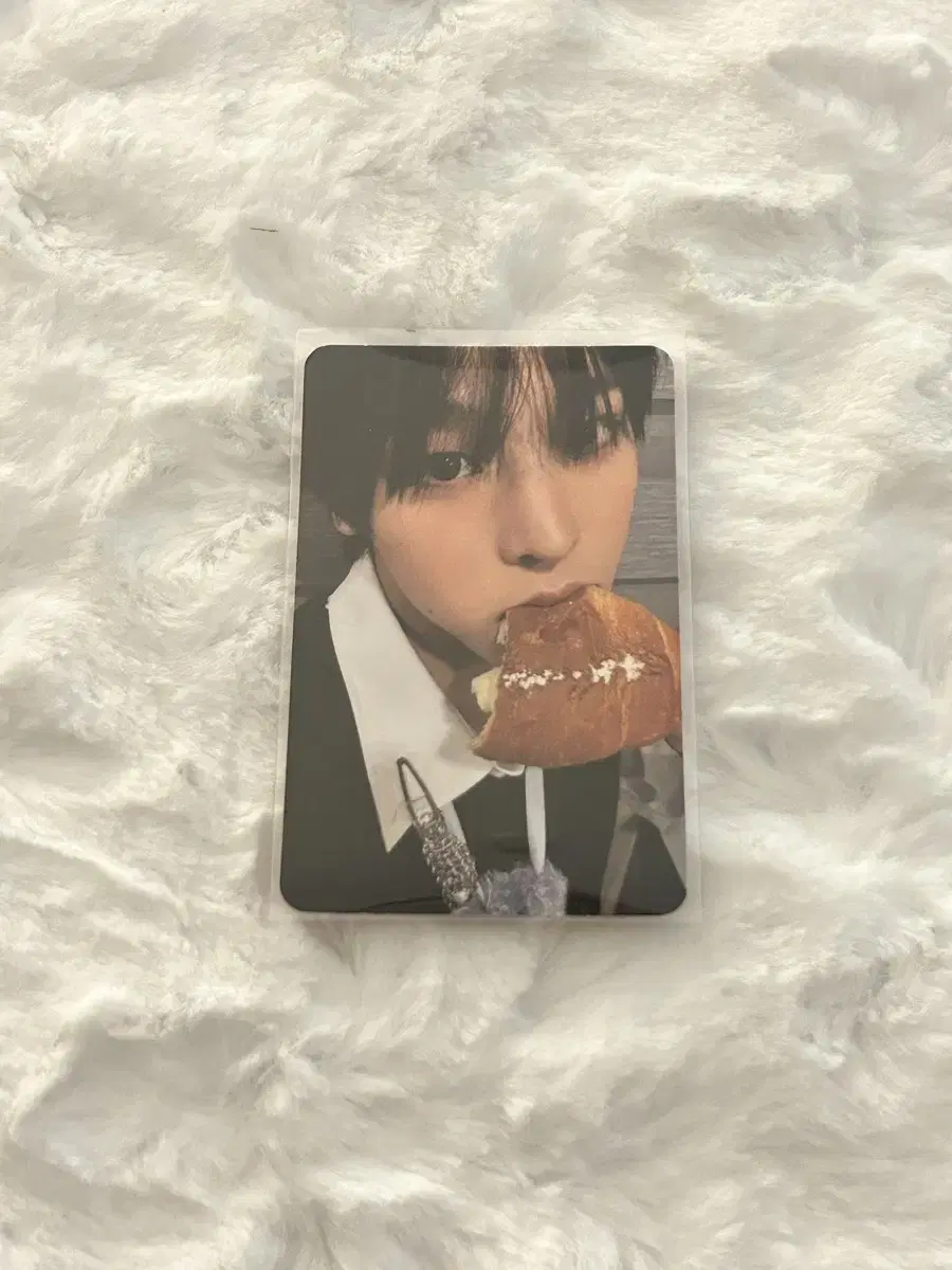 Steady IronyWish Version riku photocard wts Salt Bread Riku