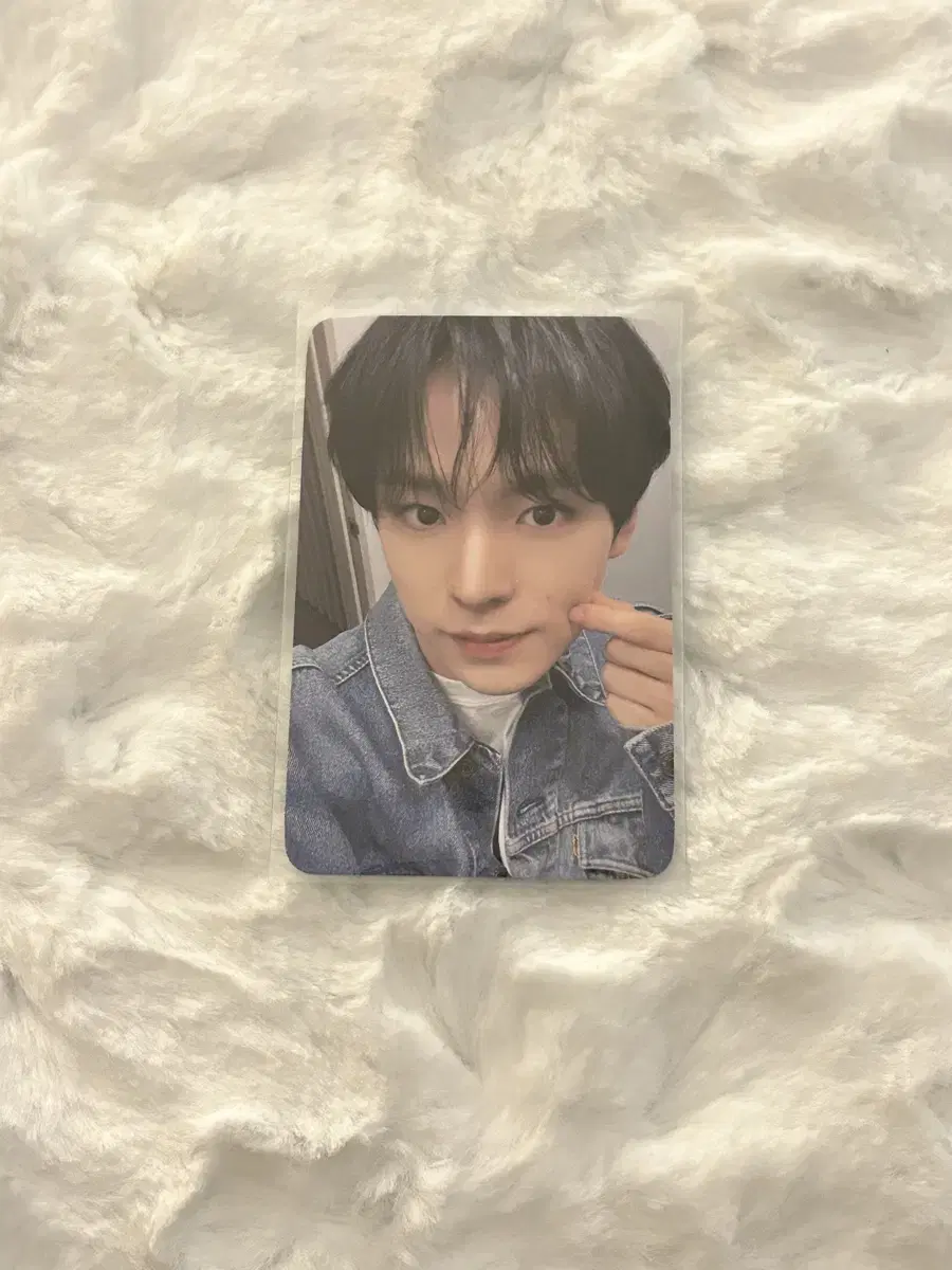 Steady everline Uusi photocard WTS