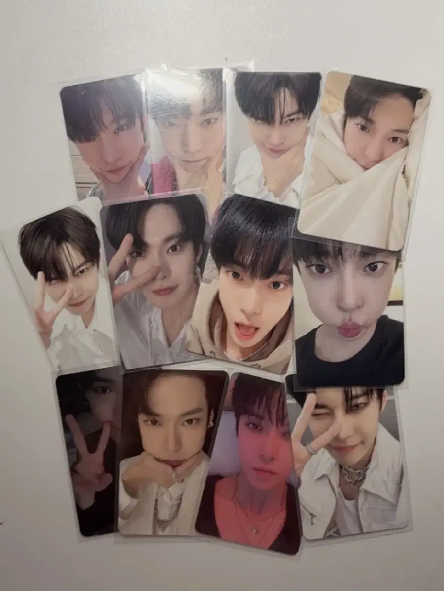 NCT 127 doyoung photocard bulk WTS