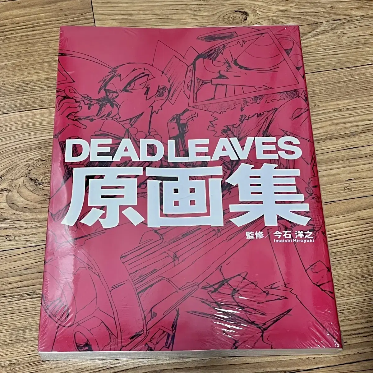 이마이시 히로유키 DEAD LEAVES 데드리브스 데드리브즈 원화집