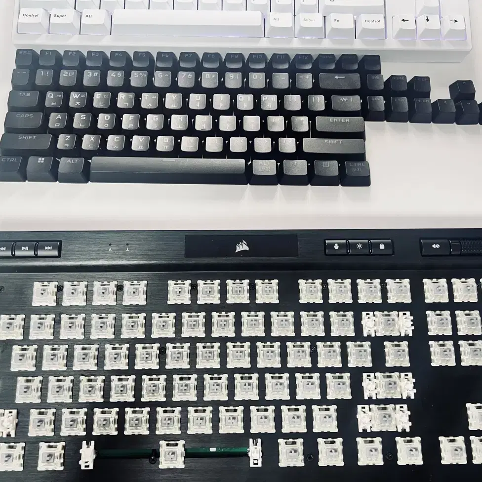 커세어 k70 rgb tkl opx 광적축\광축 키보드 8000hz