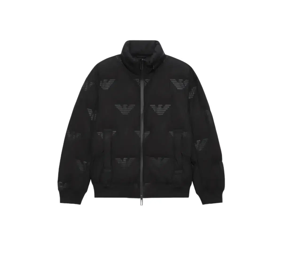 Emporio Armani Eagle logo Down Jacket 50