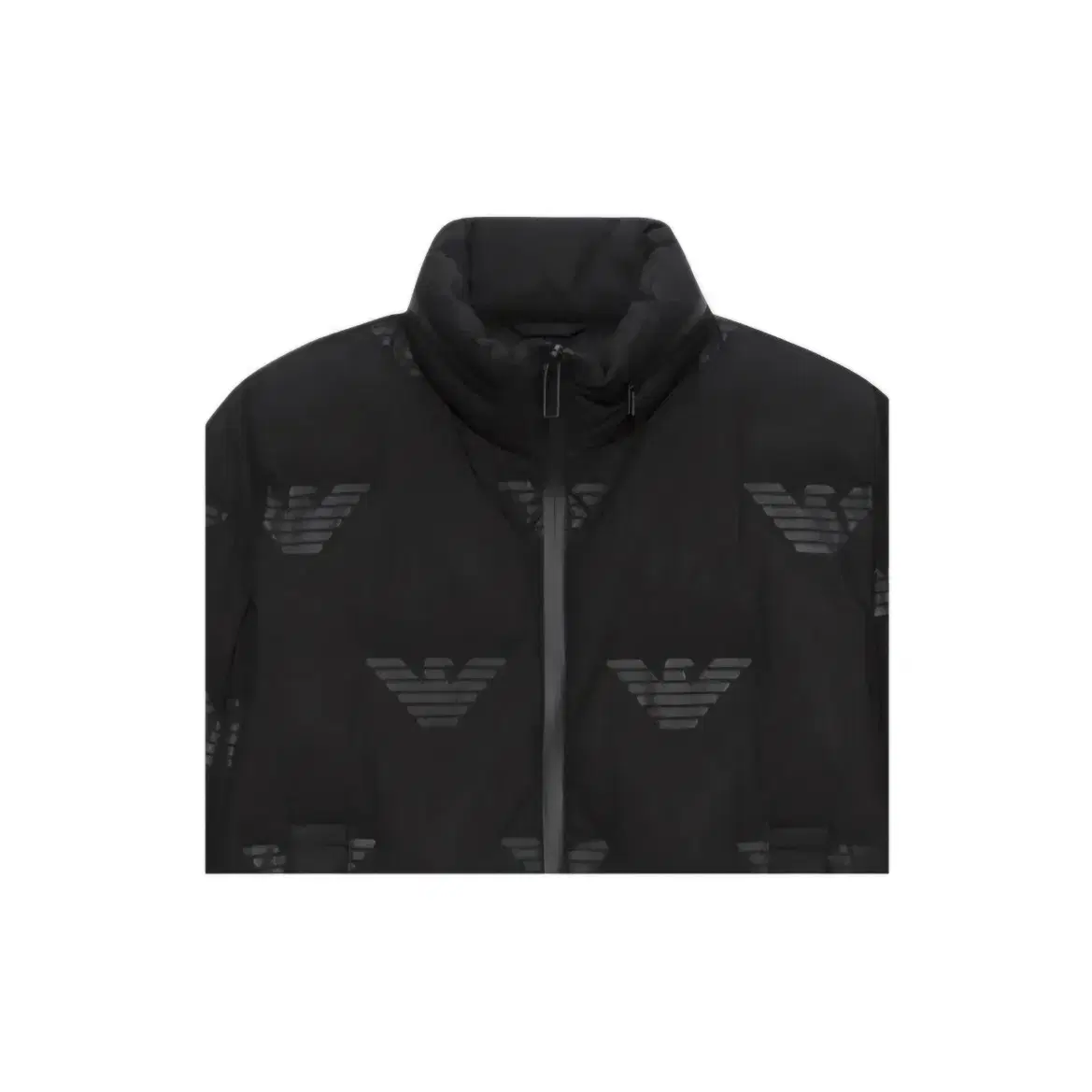 Emporio Armani Eagle logo Down Jacket 50