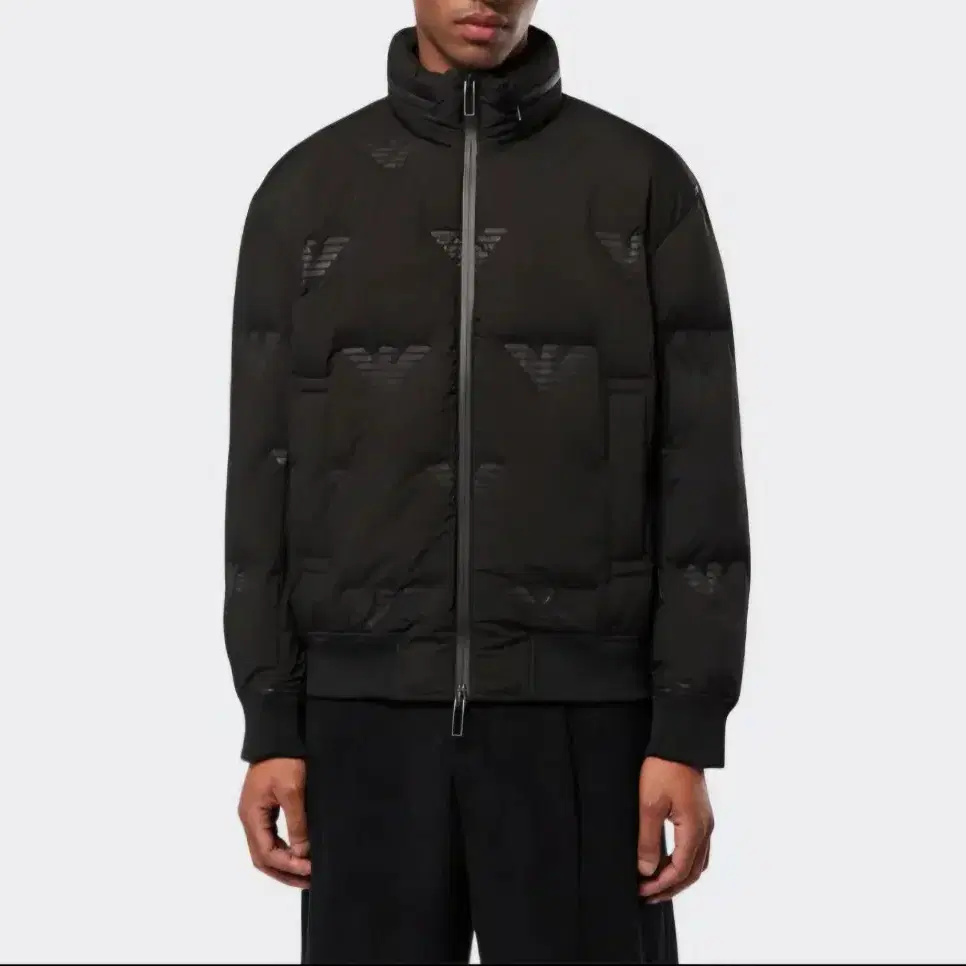 Emporio Armani Eagle logo Down Jacket 50