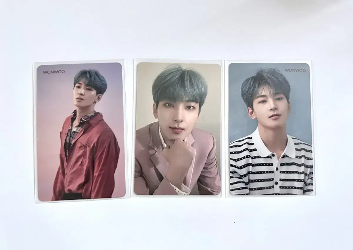 Bulk seventeen wonwoo Polple Normal vahn photocard Polinflower