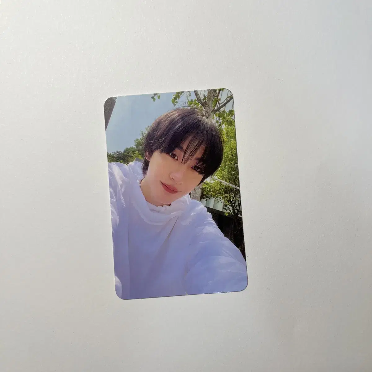 riize chanyoung getgee getgee other alfo album photocard