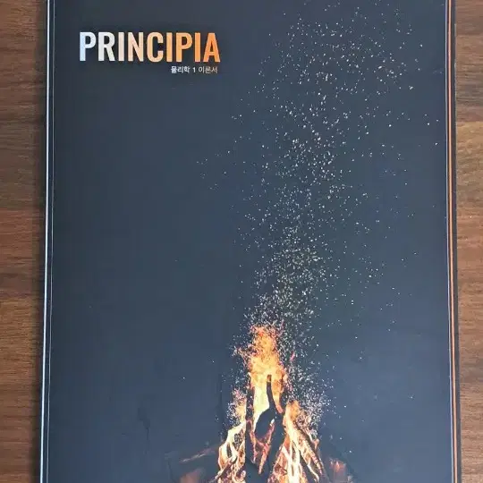 시대인재 신우성principia 물리학1 이론서