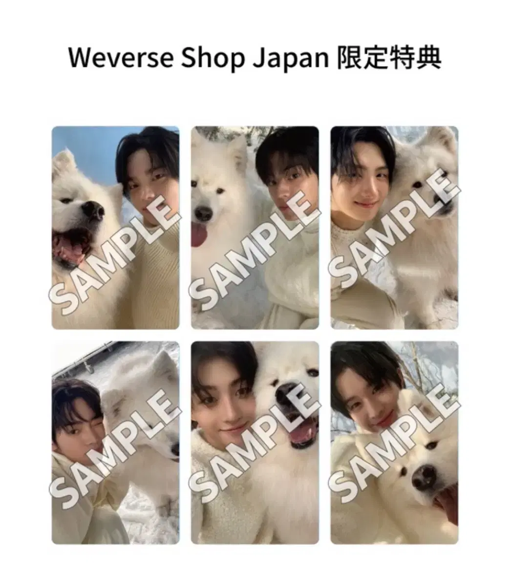 TWS Lastbell buncheol weverse japan Olive Young G.S. weverse Weverse Live