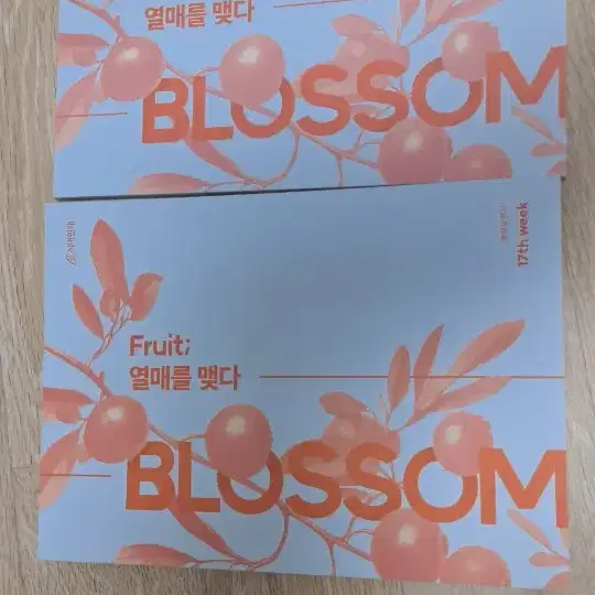 시대인재fruit국어 황용일 blossom 16,17주