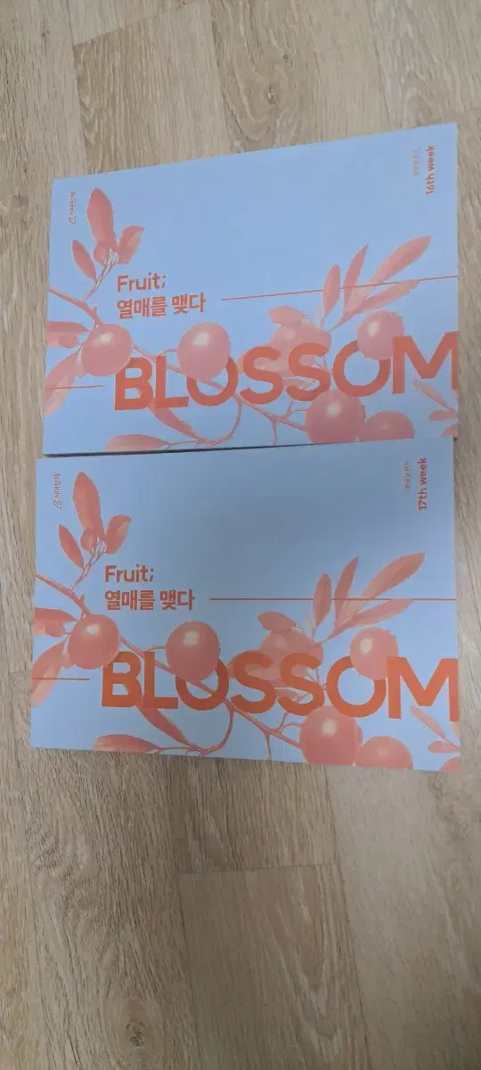 시대인재fruit국어 황용일 blossom 16,17주