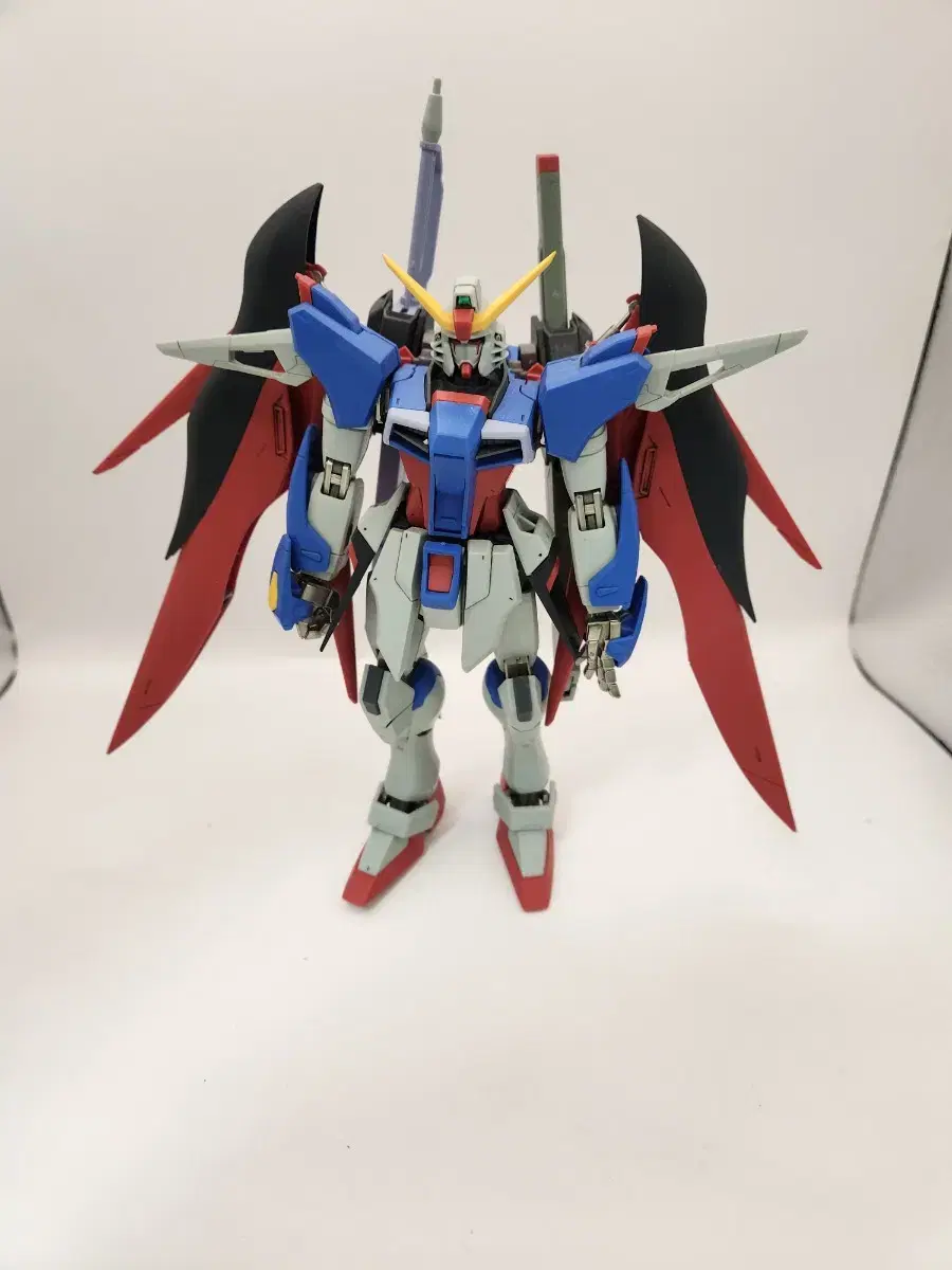 MG Destiny Gundam Armament X FramePainted Matte Finish