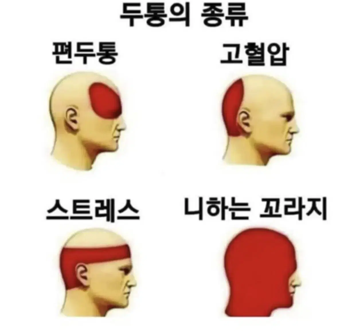 ㄹ 하이브리드 2.0