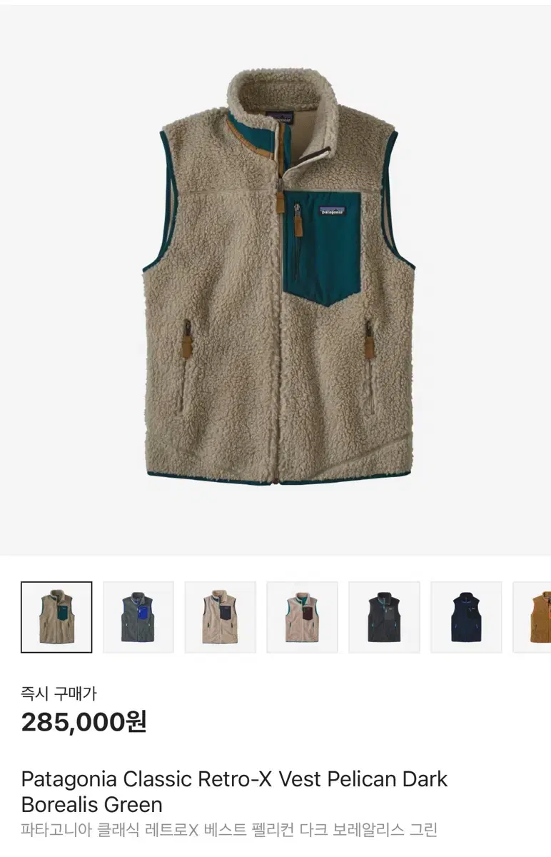 Patagonia RetroX Vest