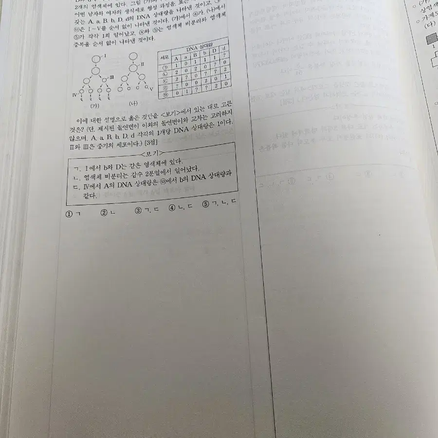 백호T 추론형 모의고사 25년도